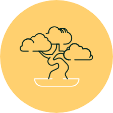 Teract - Authentique