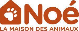 Noa la maison des animaux